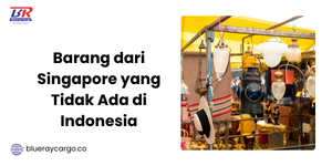 Barang dari Singapore yang Tidak Ada di Indonesia