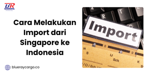 import dari singapore